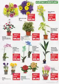 Kaufland leták týden 6 Strana 11