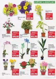 Kaufland leták týden 6 Strana 11