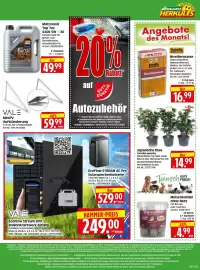Edeka Herkules Prospekt woche 6 Seite 8