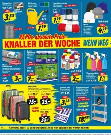 Repo Markt Prospekt woche 6 Seite 10