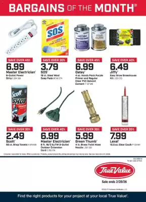 True Value weekly ad (valid until 1-03)