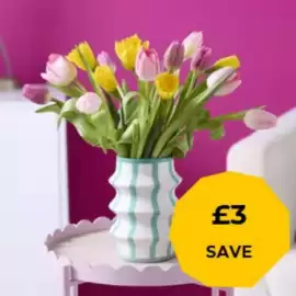 Flying Flowers leaflet Page 2