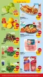 PENNY DE folder week 6 Pagina 44