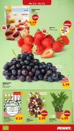 PENNY DE folder week 6 Pagina 9