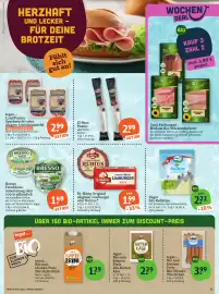 Basic Prospekt Seite 13