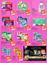 Basic Prospekt Seite 21