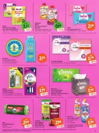 Basic Prospekt Seite 23