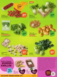 Basic Prospekt Seite 4