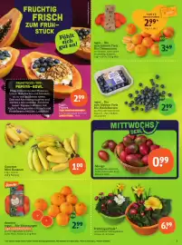 Basic Prospekt Seite 5