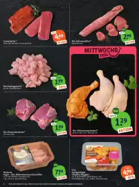 Basic Prospekt Seite 6