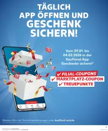 Kaufland DE tilbudsavis Side 31