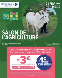 Catalogue Carrefour Market page 67