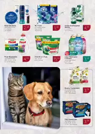 Dornseifer Prospekt woche 6 Seite 14