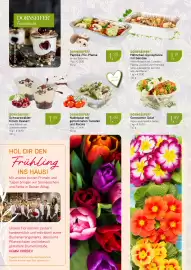Dornseifer Prospekt woche 6 Seite 8