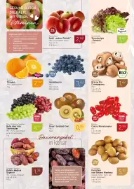 Dornseifer Prospekt woche 6 Seite 9