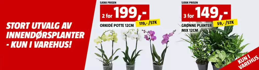 Bauhaus kundeavis Side 3