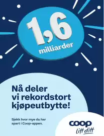 Matkroken kundeavis uke 6 Side 10