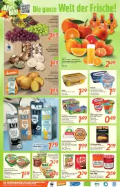 Inkoop Prospekt woche 6 Seite 2