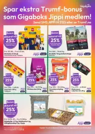 Gigaboks kundeavis uke 6 Side 6