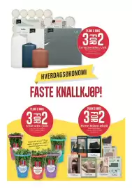 CC Mat kundeavis uke 6 Side 5