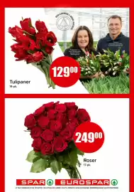 Eurospar kundeavis uke 6 Side 13