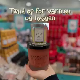 Normal tilbudsavis Side 2