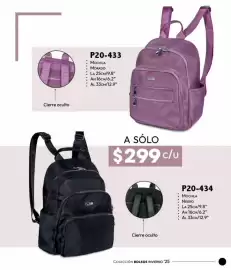 Catálogo Cklass Página 41