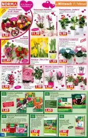Norma Prospekt woche 7 Seite 14