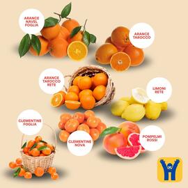 Volantino Hurrà Pagina 2