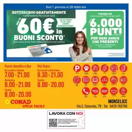 Volantino Spesa Facile Conad Pagina 8