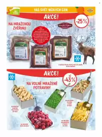 Globus leták týden 6 Strana 22