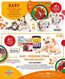 Globus leták Strana 8