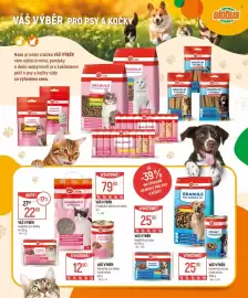 Globus leták Strana 3