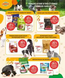 Globus leták Strana 4