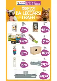 Volantino Ayoka Pagina 10