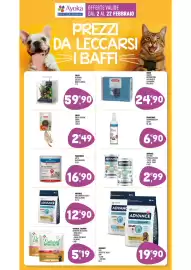 Volantino Ayoka Pagina 11