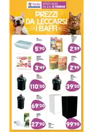 Volantino Ayoka Pagina 12