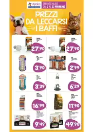 Volantino Ayoka Pagina 13