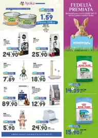 Volantino Ayoka Pagina 3