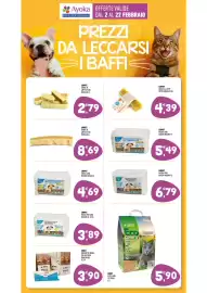 Volantino Ayoka Pagina 9