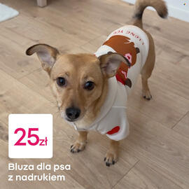 Pepco gazetka Strona 4