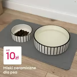 Pepco gazetka Strona 2