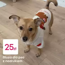 Pepco gazetka Strona 4