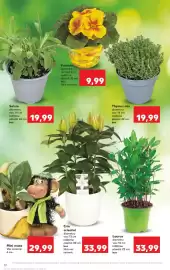 Catalog Kaufland săptămâna 6 Pagină 12