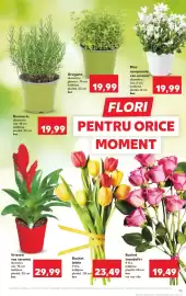 Catalog Kaufland săptămâna 6 Pagină 13