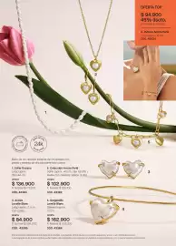 Catálogo Yanbal Página 25