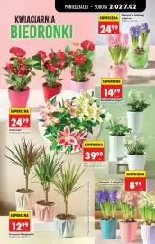 Biedronka gazetka tydzień 6 Strona 35