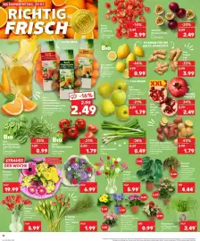 Kaufland Prospekt Seite 16
