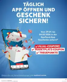 Kaufland Prospekt Seite 31