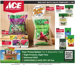 Ace Hardware flyer Page 1